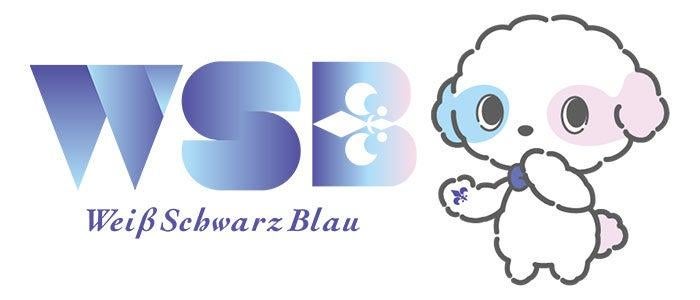 新作キャラクターカードゲーム 『ヴァイスシュヴァルツブラウ』より