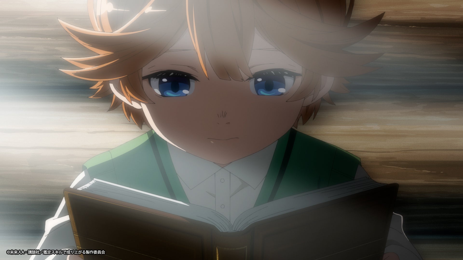 ☆2024年4月アニメ☆転生貴族、鑑定スキルで成り上がる  1〜14 TVアニメ『転生貴族、鑑定スキルで成り上がる 第2期』2024年秋