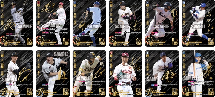 ドリームオーダー プロモーションパック2025 Vol.5 12パックセット ドリームオーダー プロモーションパック2025 Vol.5 12パックセット