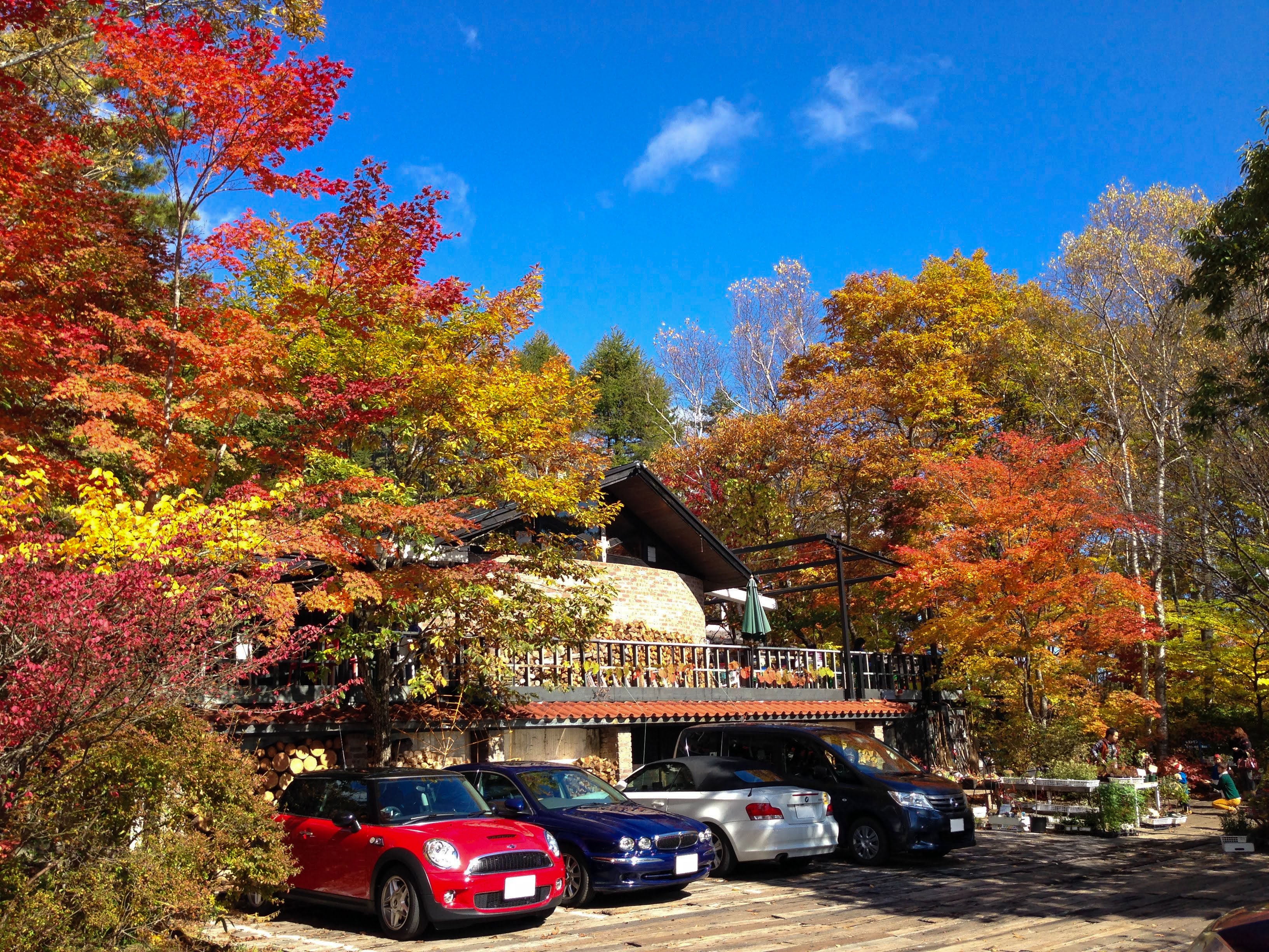 【山梨・八ヶ岳】紅葉の道の先に、森で過ごす豊かな時間を。八ヶ岳倶楽部が提案する秋のドライブ旅