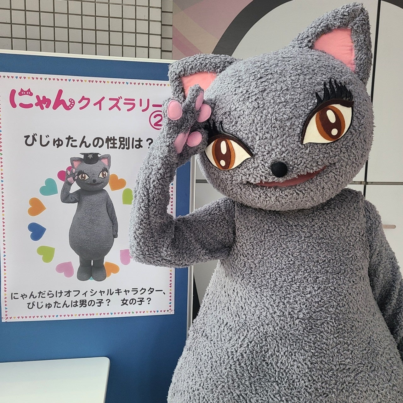 23ねこだらけ 美濃焼コースター ねこだらけ | ai sayama