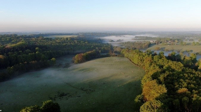 2022 年の「アッシュダウンの森」Photo：Kanon Okamoto