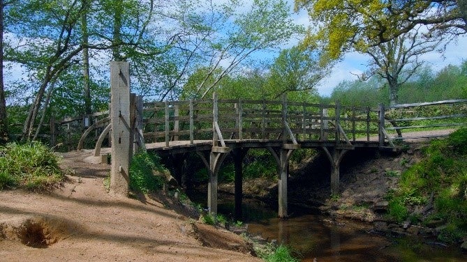 2022 年の「アッシュダウンの森」Photo：Kanon Okamoto