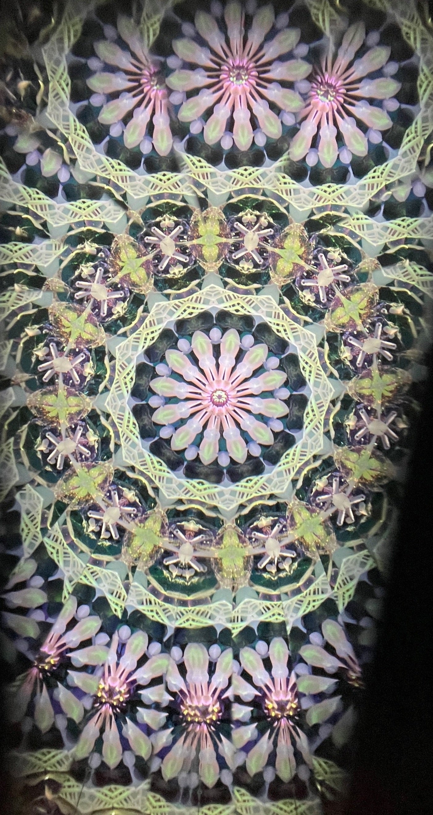 野田　麻里　作「Inner light」