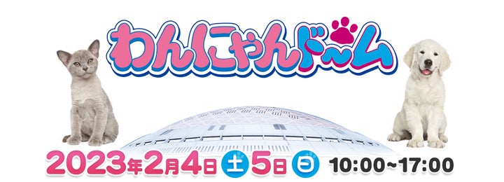 14948-355- 14948-355-