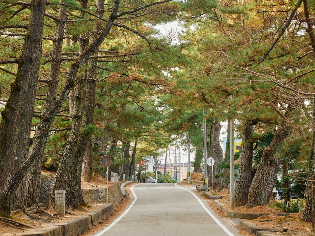 【中古】 山陰・瀬戸内カヌー膝栗毛 敦賀ー大阪間一四○○キロ/山と渓谷社/吉岡嶺二 山陰・瀬戸内カヌー膝栗毛: 敦賀-大阪間一四〇〇キロ 中年カヌー