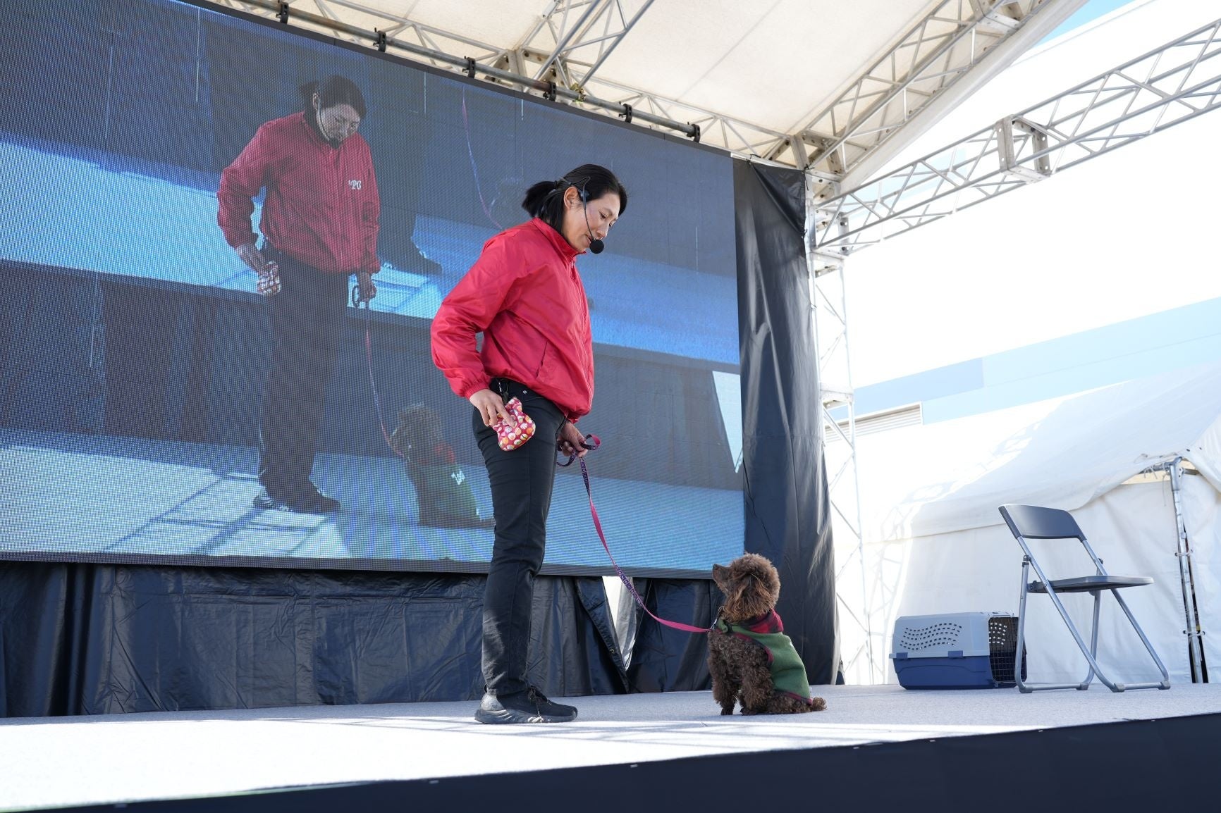「楽しく学ぼう！わんわんトレーニング」