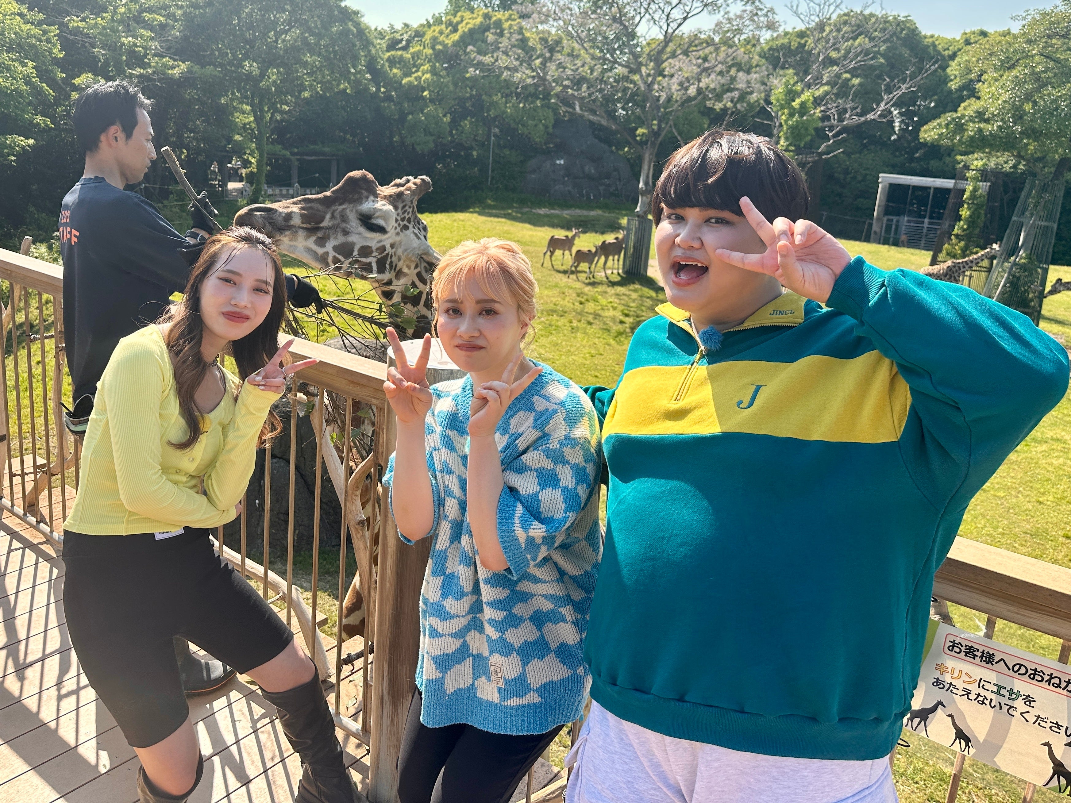 豊橋人気の「のんほいパーク」でキリンさんと大接近！