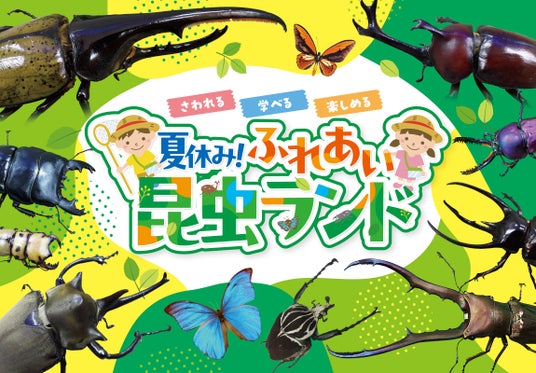 夏休みにピッタリ! “さわれる・学べる・楽しめる 昆虫展” 「夏休み!ふれあい昆虫ランド」8月1日(金)~ 8月18日(月)星ケ丘三越 夏休みにピッタリ! “さわれる・学べる・楽しめる 昆虫展” 「夏休み!ふれあい昆虫ランド」8月1日(金)~ 8月18日(月)星ケ丘三越