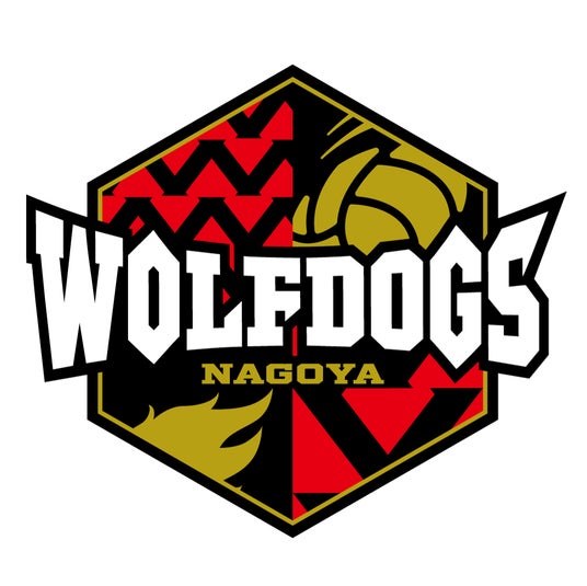 ウルフドッグス名古屋 スーパーシート トレカ スポーツエントリー