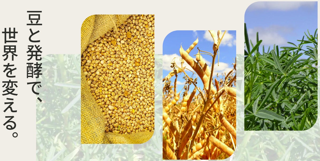 豆類の独自発酵技術で新たな植物性発酵食品「醸豆(JYOZ/ジョウズ 豆類の独自発酵技術で新たな植物性発酵食品「醸豆(JYOZ/ジョウズ