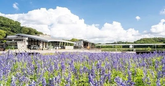 みどりの愛護が紡ぐ地方創生松戸市が積極的に取り組む公園整備やSDGsをご紹介 みどりの愛護が紡ぐ地方創生松戸市が積極的に取り組む公園整備やSDGsをご紹介