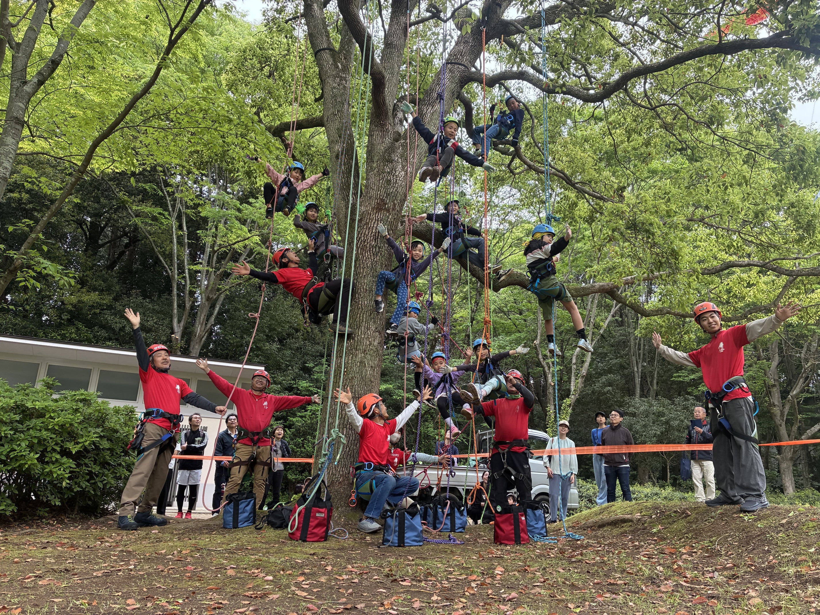松戸中央公園でツリークライミング®体験会を開催！！