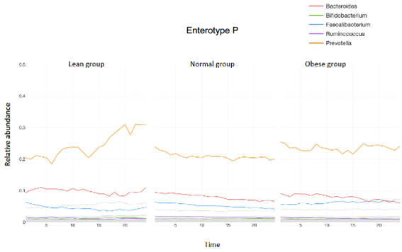 図2. エンテロタイプP型のBMIで層別したシミュレーションに基づく菌叢安定性解析の結果  （やせ（左）では時間の経過（横軸）によって菌組成の変化が大きい）