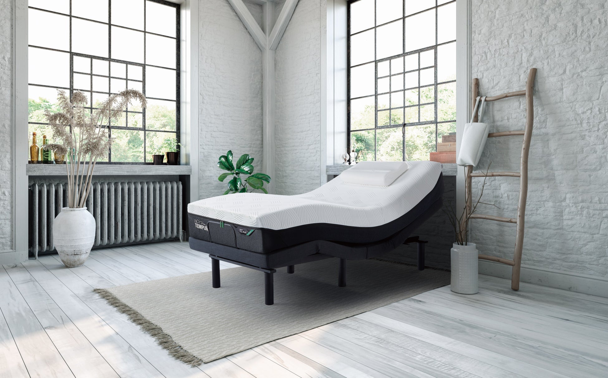 プロ プラス+ゼロジー®️ コンフォート