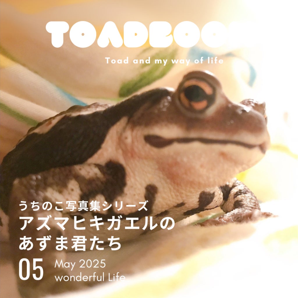 誰でもペットの写真集が出版できる時代に!うちのカエルの写真集が出版 誰でもペットの写真集が出版できる時代に!うちのカエルの写真集が出版
