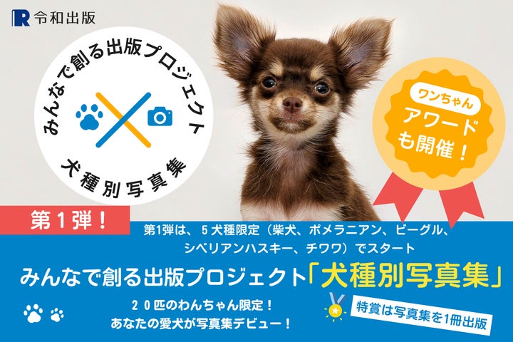 チワワ部門の募集開始!参加費完全無料:2025年度版 みんなでつくる チワワ部門の募集開始!参加費完全無料:2025年度版 みんなでつくる