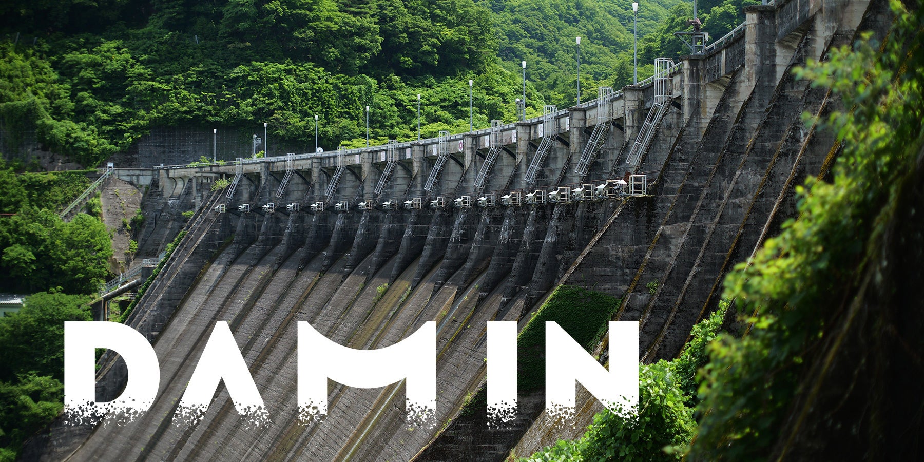 太宰府の参道で、着物姿は約120人に1人。着物レンタル響が、福岡県民向け「秋の太宰府 着物さんぽ」を11月1日から開始