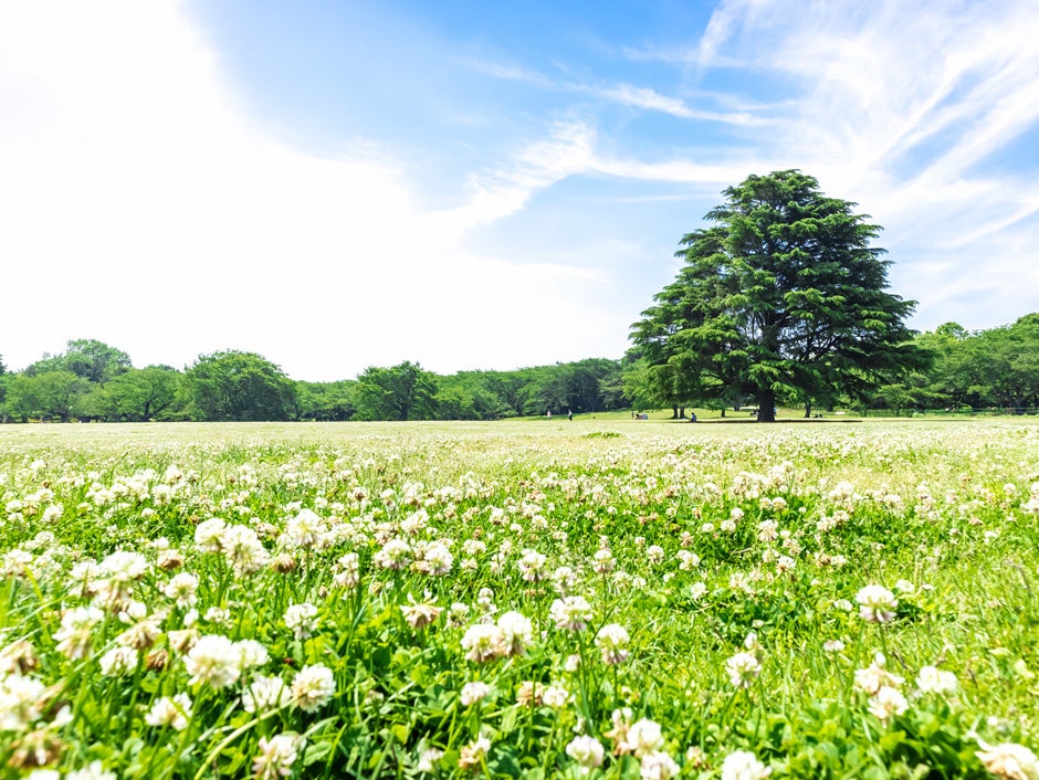 納骨堂・樹木葬サービス