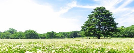 納骨堂・樹木葬サービス