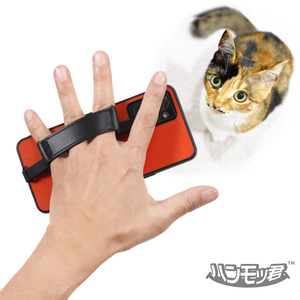 もちもちフィットの『ハンモッ君』