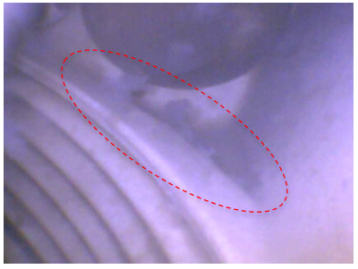 機器配管内部の汚れ 赤破線内がバイオフィルム