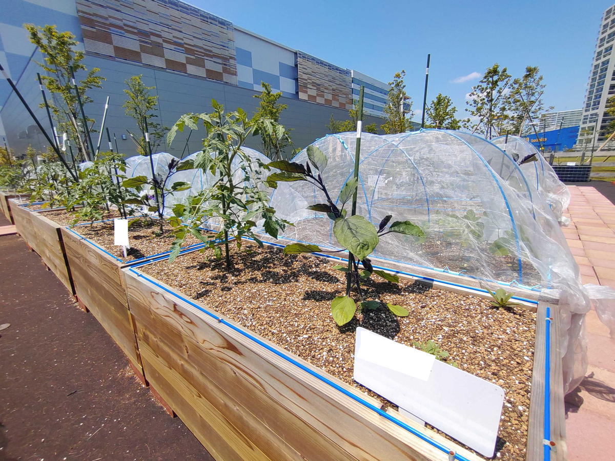 シェア畑garden 南船橋