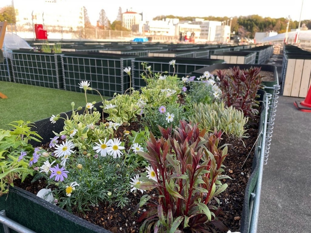 シェア畑garden 星が丘