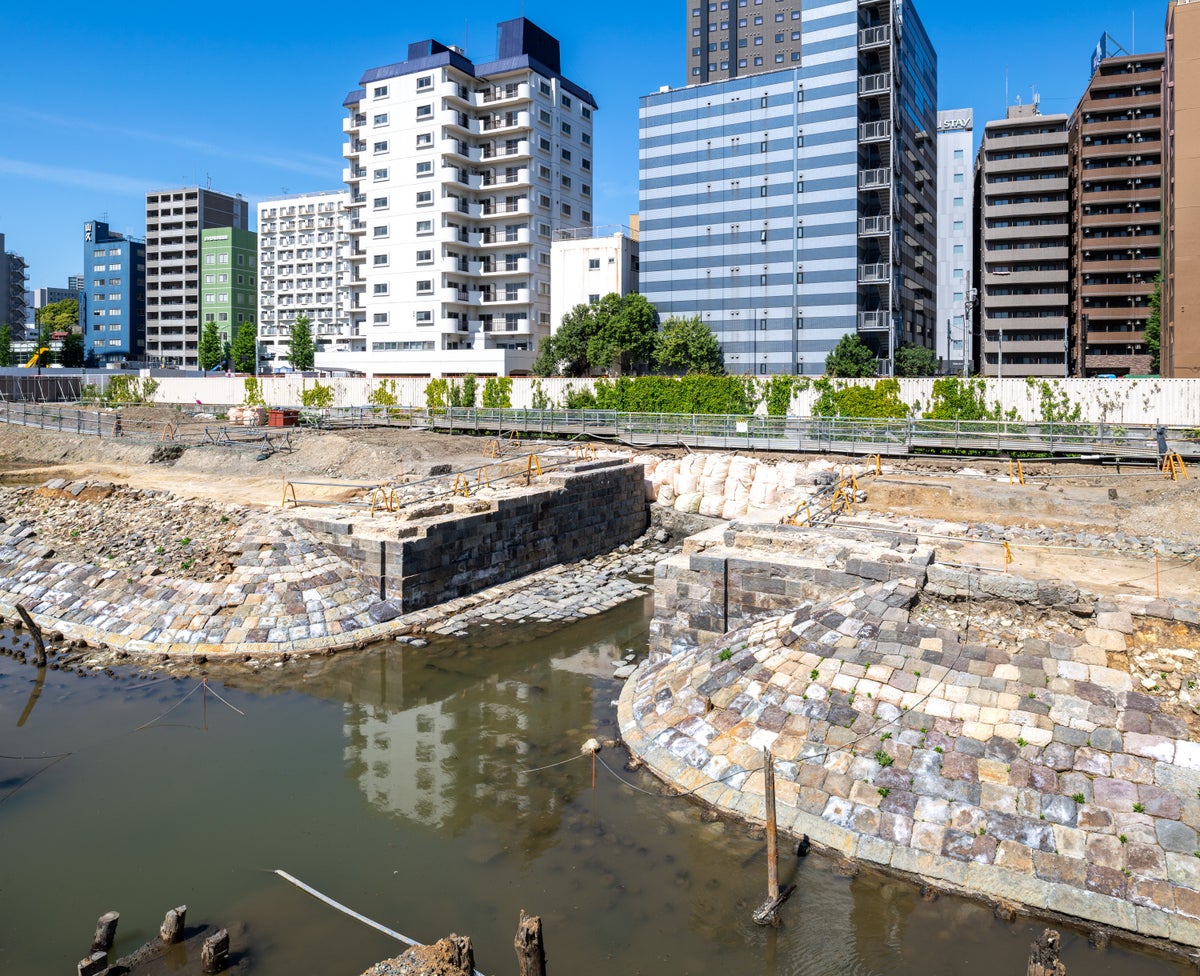 出土した際の高輪築堤(第7橋梁部・2021年頃)