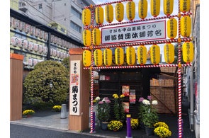 江戸の情緒がよみがえる 巣鴨 秋のイベント「すがも中山道 菊まつり」11月6日より開催