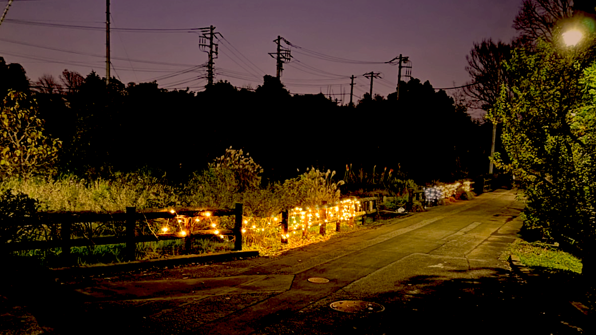 松戸キャンパスの様子