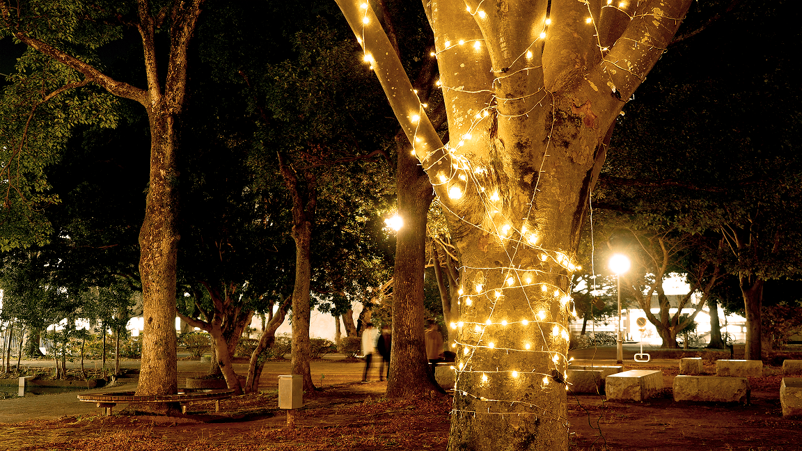 かたらいの森の様子