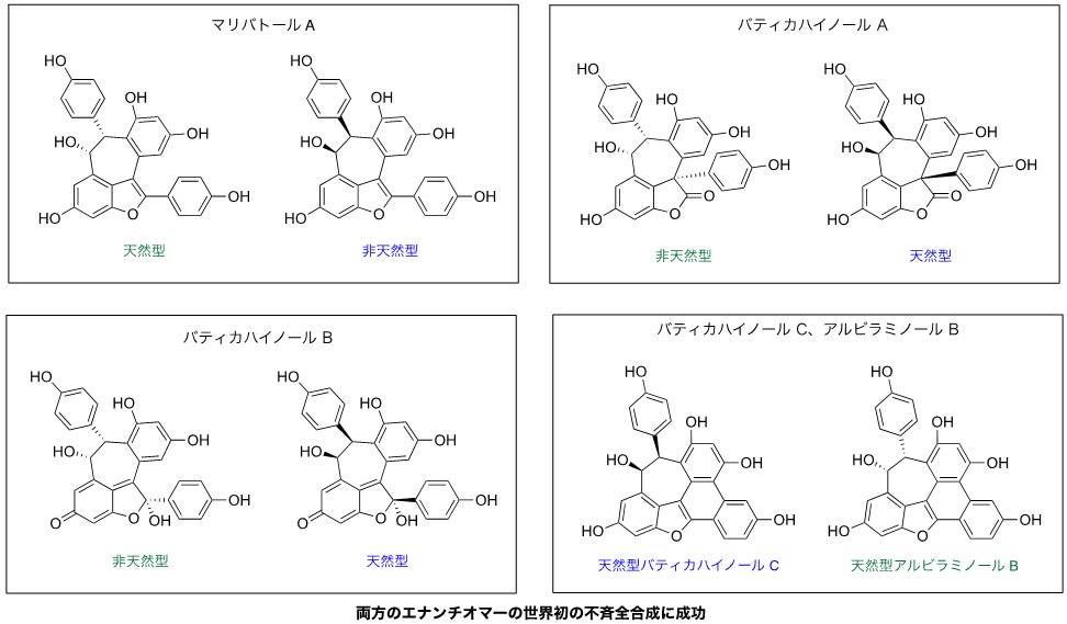 図4 レスベラトロールダイマーの人工合成