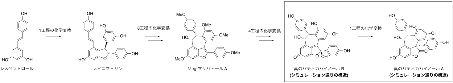 図３　バティカハイノールA, Bのリアル人工合成