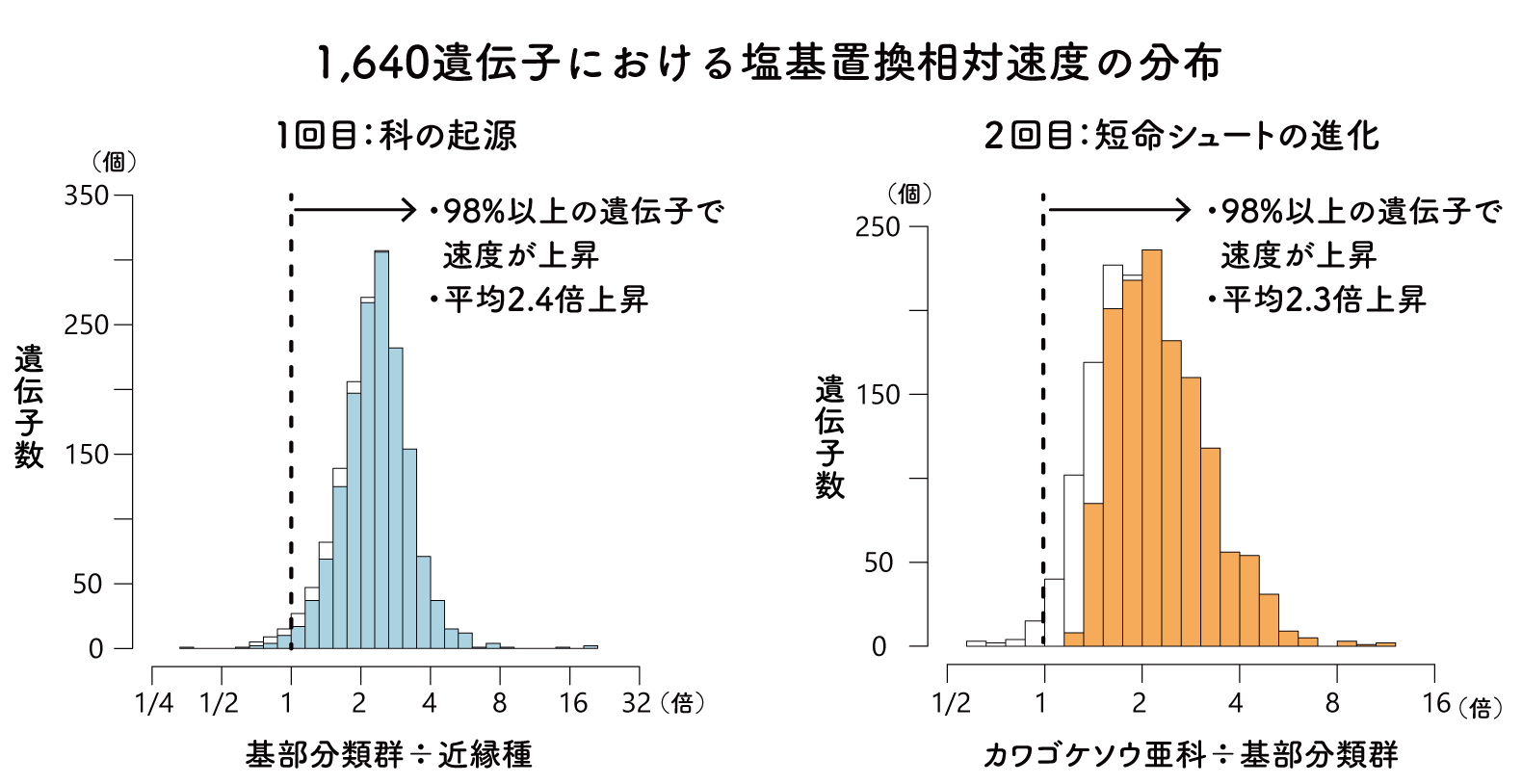 図３. 1,640遺伝子の塩基置換速度の相対変化量 左：カワゴケソウ科の起源時。右：短命シュートの進化時。※白抜き部分は統計的には差があるとは言えない遺伝子を示す。