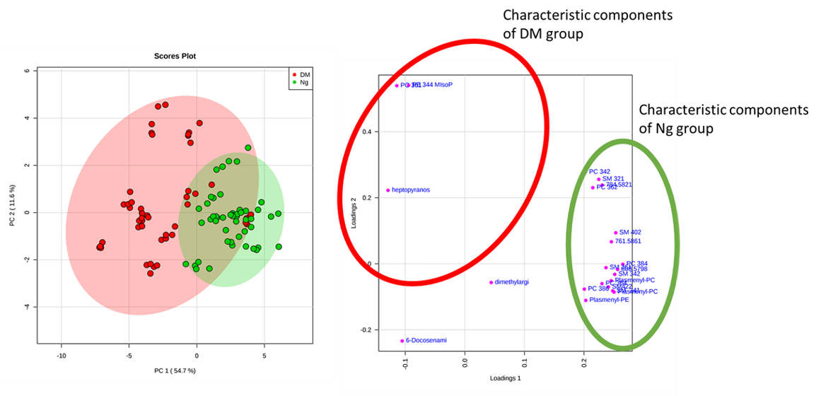 3つの脂質が糖尿病の死後診断のカギ | 国立大学法人千葉大学の