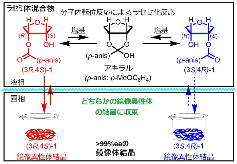 図2　ラセミ体混合物から単一の鏡像体結晶への不斉増幅