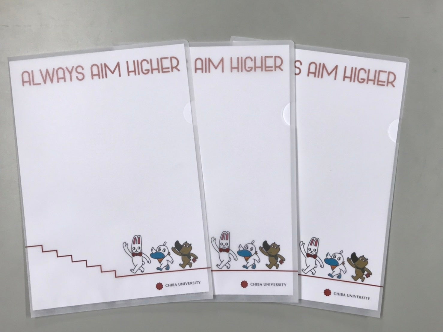 中に白紙をいれたファイル