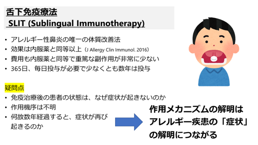 アレルゲン免疫療法の手引き 2025 アレルゲン免疫療法の手引き 2025 舌下免疫療法 | 東松戸