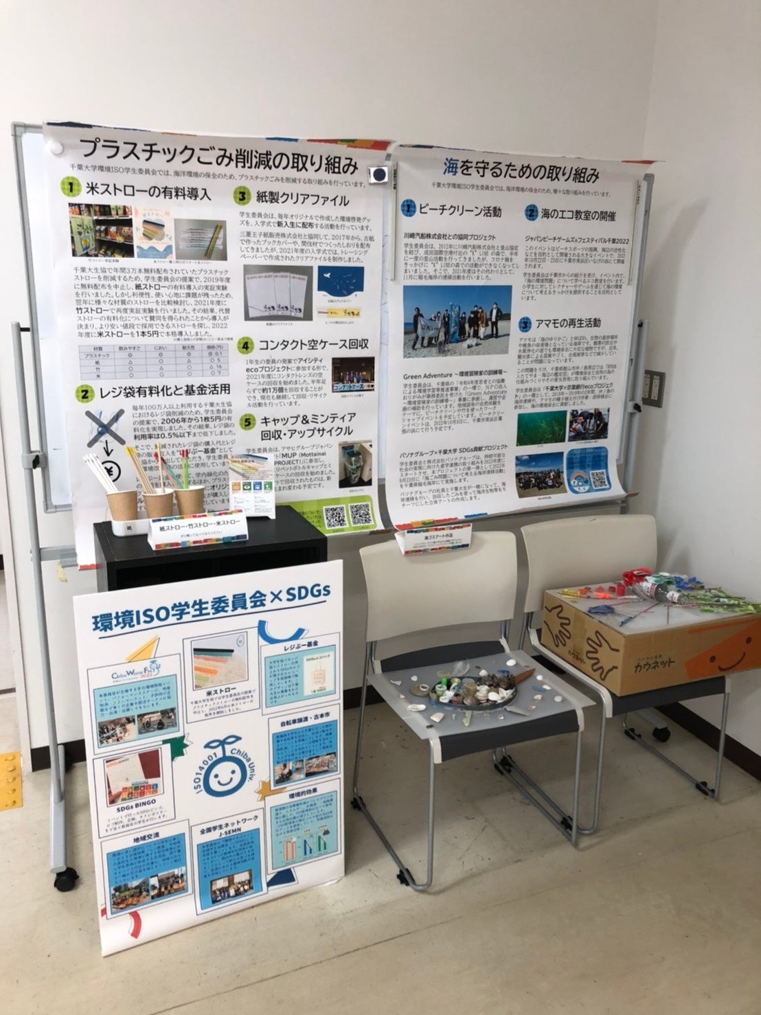 展示の様子