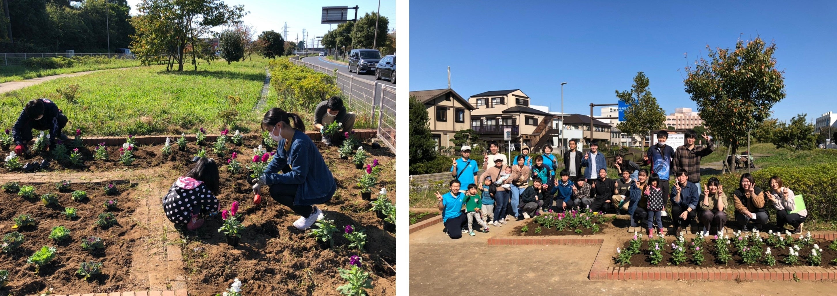 秋の花植えイベントの様子