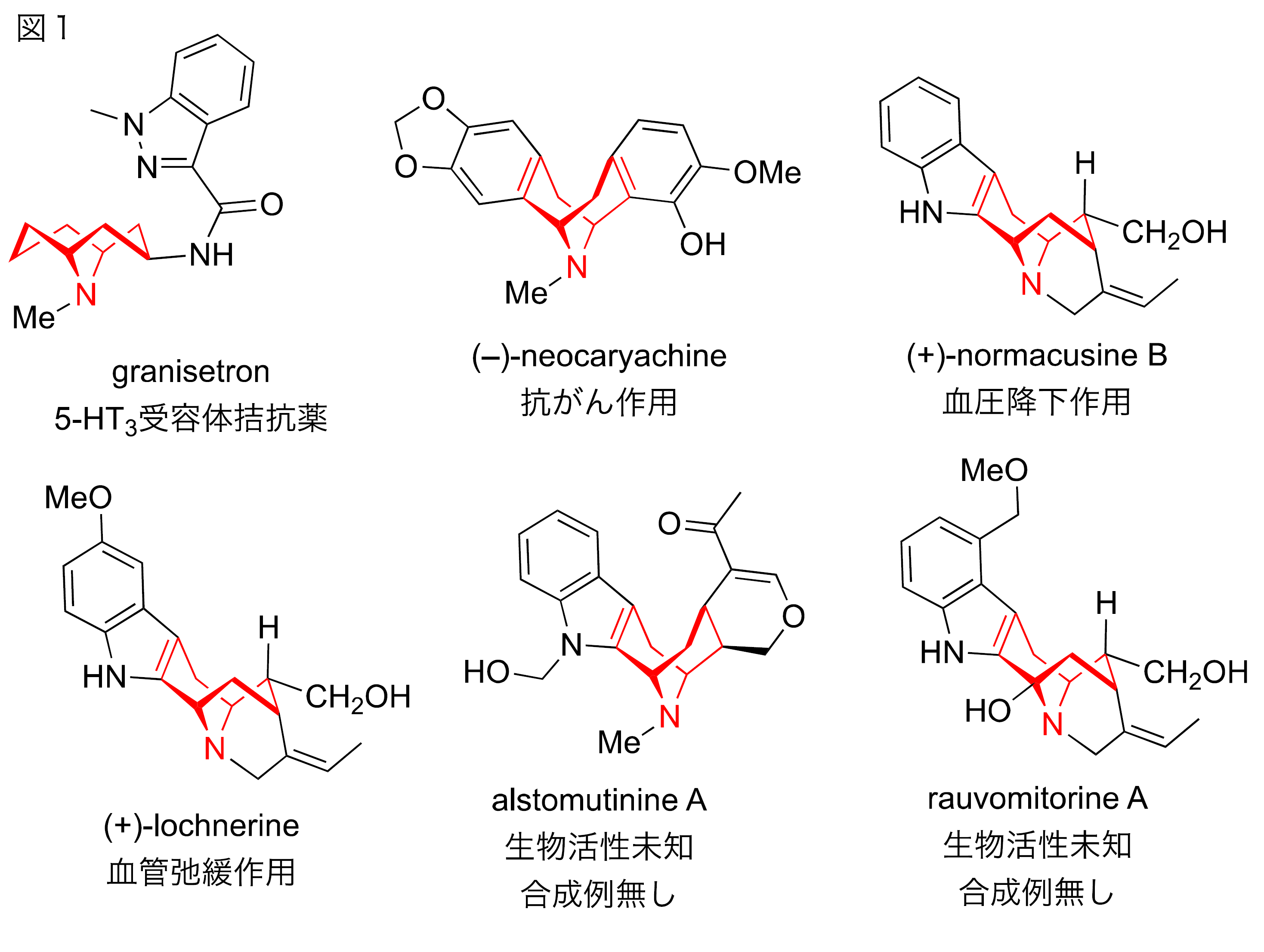 生体触媒を使う有機合成 1. 不斉有機触媒反応 | 技術ポートフォリオ | ソリューション
