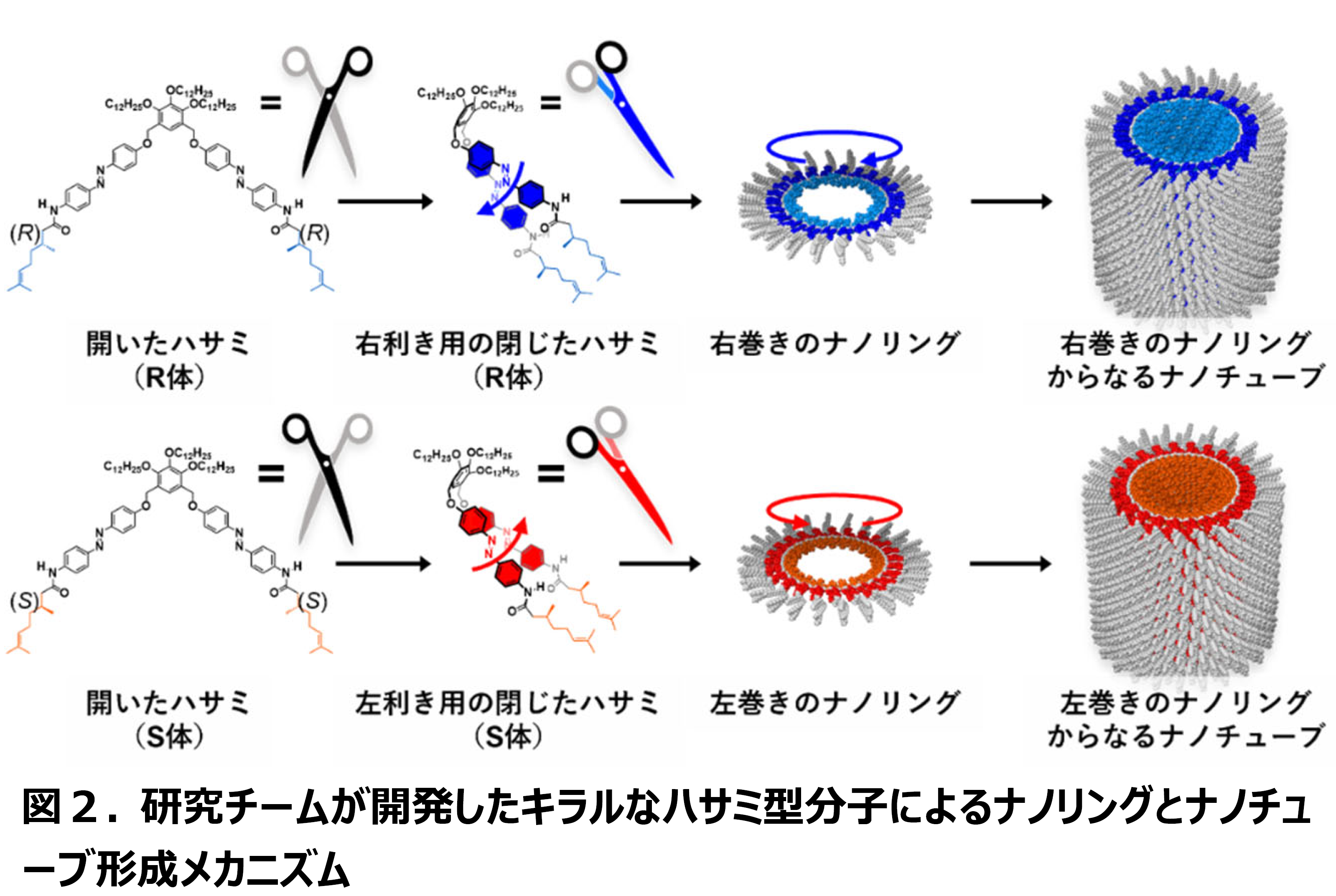 分子のわずかな非対称性の偏りが増幅される現象を発見 | 国立大学法人