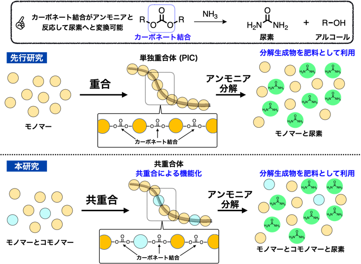 肥料に変換できるプラスチックの機能化に成功～循環型