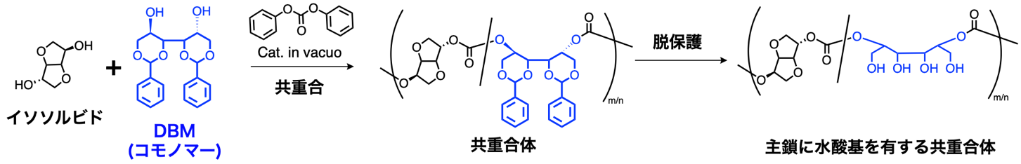 図3：共重合体の合成と脱保護による水酸基の導入