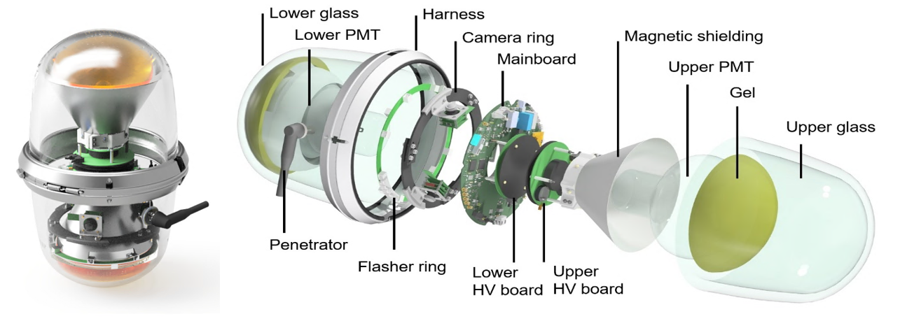 図3：D-Egg検出器