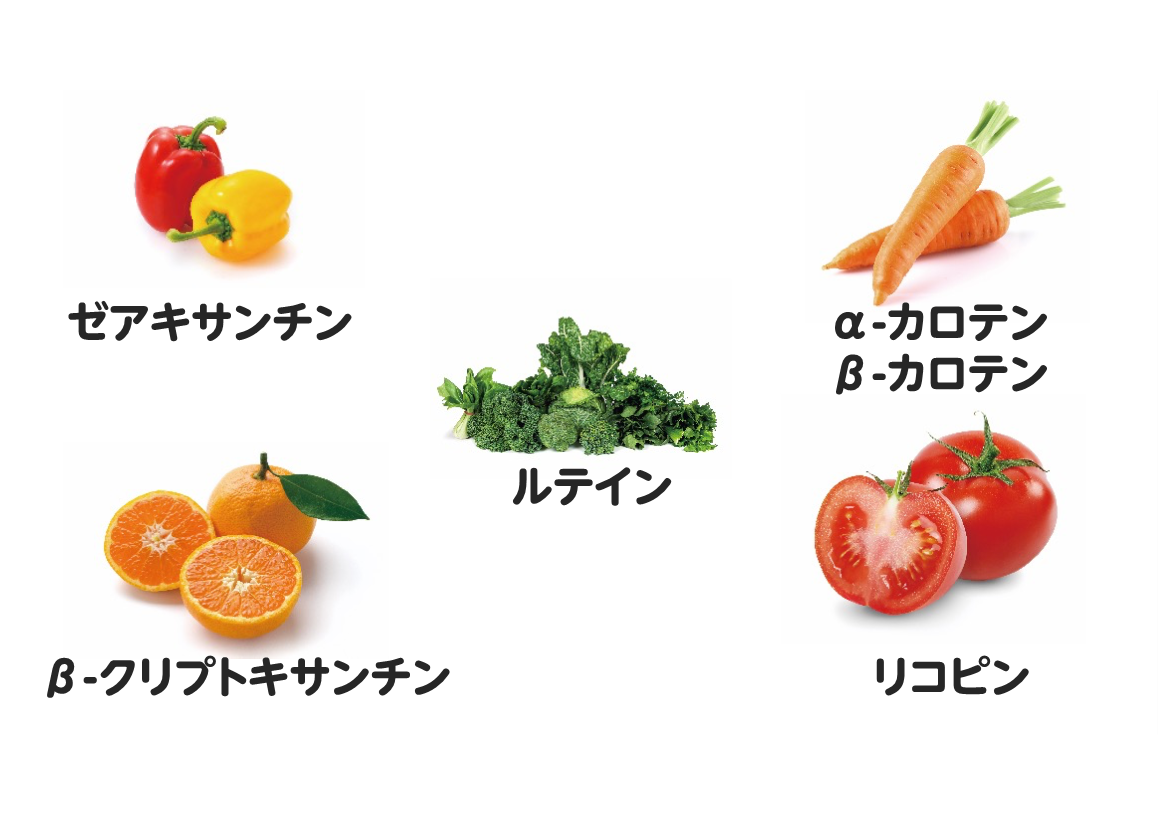 図2. 各カロテノイドが多く含まれる野菜・果物
