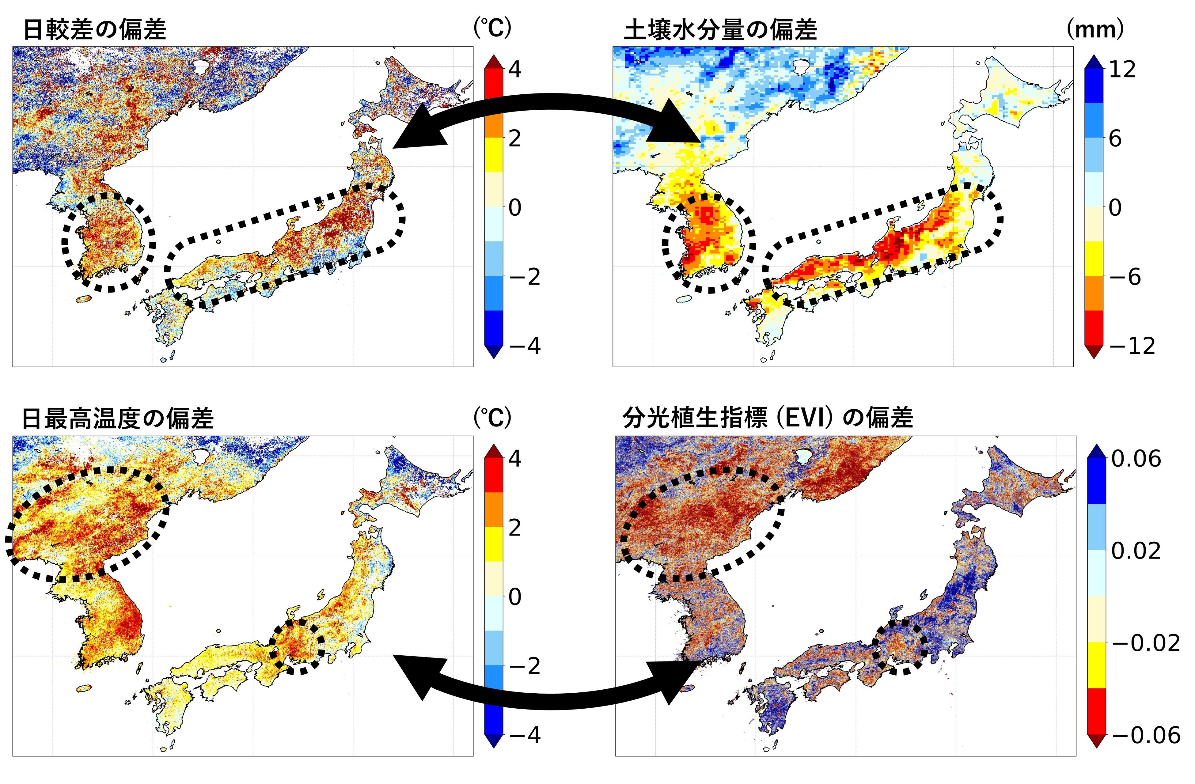 図2．2018年7月16日～8月5日の猛暑時における日較差、日最高温度、土壌水分量、分光植生指標（EVI）の平年値からの偏差。
