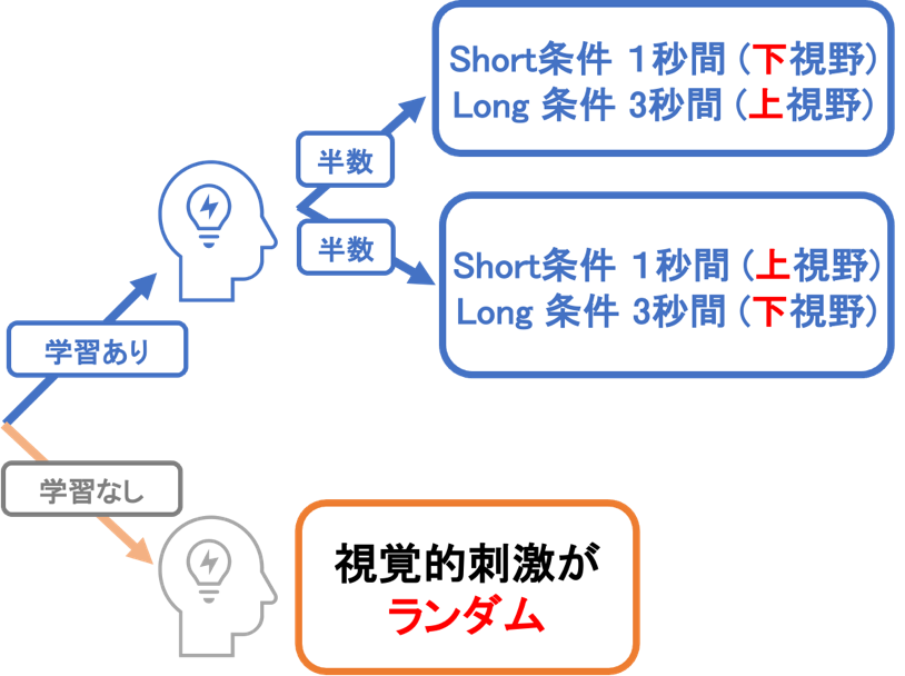 図1：実験参加者のトレーニング試行によるグループ分け