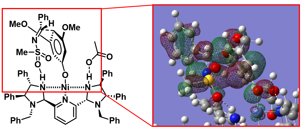 図５．HOMO-LUMO活性化機構